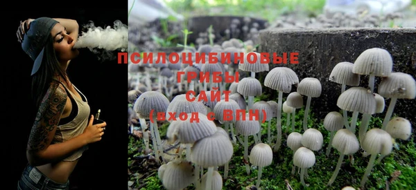 спайс Кукмор