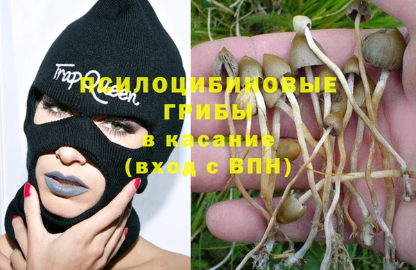 таблы Долгопрудный